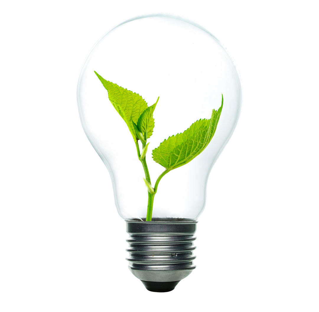 Investing Green – Nachhaltig investieren
